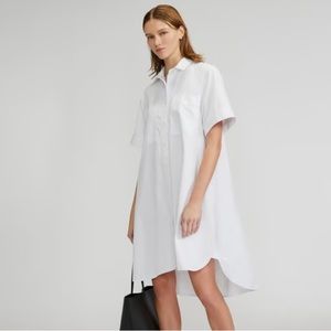 Everlane The Daytripper Shirtdress